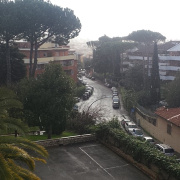 NID-6846_zarandoklat_Roma585.jpg
