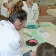 NID-7015_image070.jpg