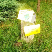 NID-7039_NID-7039_DSCF0561.JPG