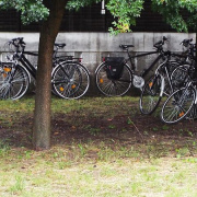 DSCF0892.JPG
