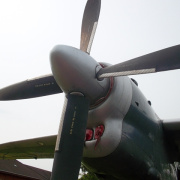 NID-7055_SAM_5771.JPG