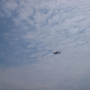 NID-7055_SAM_5866.JPG