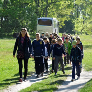 NID-6965_alsos_egeszsegnap04.JPG