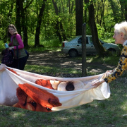 NID-6965_alsos_egeszsegnap68.JPG