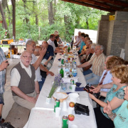 piknik_Urihegyen115.JPG