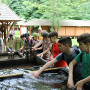NID-7078_2016-06-22-5a-osztkirandulas_271.jpg