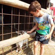 NID-7079_DSCF6089.JPG