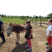 NID-7079_DSCF6090.JPG