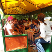 NID-7079_DSCF6106.JPG