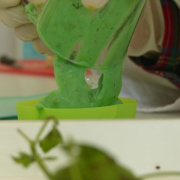 NID-7084_image203.jpg