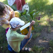 NID-7084_image358.jpg