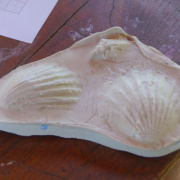 NID-7084_image516.jpg