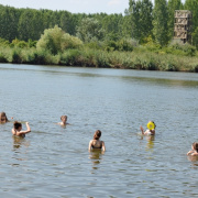 NID-7116_golyatabor_9abc500.JPG
