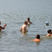 NID-7116_golyatabor_9abc513.JPG
