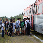 NID-7116_golyatabor_9abc627.JPG