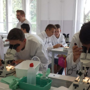 NID-7215_labornyolc-05.jpg