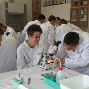 NID-7215_labornyolc-07.jpg