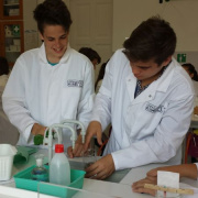 NID-7215_labornyolc-08.jpg