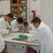 NID-7215_labornyolc-09.jpg
