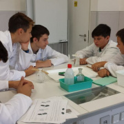 NID-7215_labornyolc-20.jpg