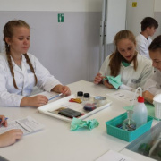 NID-7215_labornyolc-23.jpg