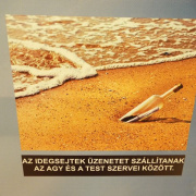 NID-7253_DSCF6238.JPG