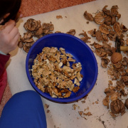 TESZI_nyitonap049.JPG