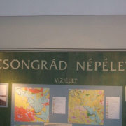 NID-7272_DSCF8542.JPG