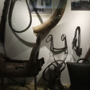 NID-7272_DSCF8544.JPG