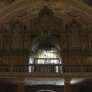 NID-7272_DSCF8556.JPG