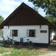 NID-7272_DSCF8561.JPG