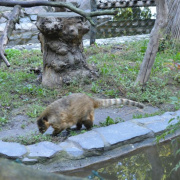 NID-7284_Vadaspark015.jpg
