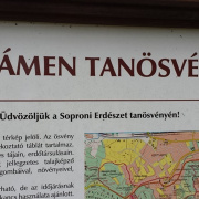 NID-7313_12c_osztalykirandulas012.jpg
