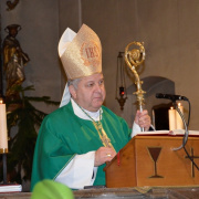 NID-7316_plebanosi_beiktatas22.JPG