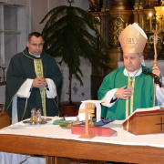 NID-7316_plebanosi_beiktatas28.JPG
