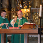 NID-7316_plebanosi_beiktatas46.JPG