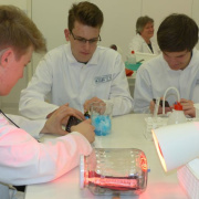 NID-7376_image004.jpg