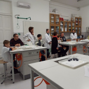 NID-7429_DSCF0488.JPG