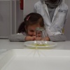 NID-7429_DSCF0544.JPG