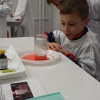 NID-7429_DSCF0549.JPG