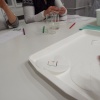 NID-7429_DSCF0562.JPG