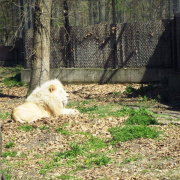 DSCF3059.JPG
