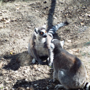 DSCF3062.JPG
