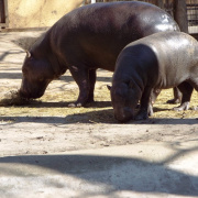 DSCF3069.JPG