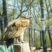 DSCF3073.JPG