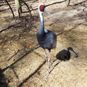 DSCF3089.JPG