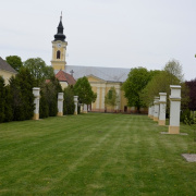 NID-7558_LELKI_NAP103.JPG