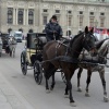 NID-7570_Becs041.JPG