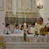 NID-7583_ministrans_Kalocsa025.JPG