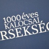 NID-7583_ministrans_Kalocsa144.JPG